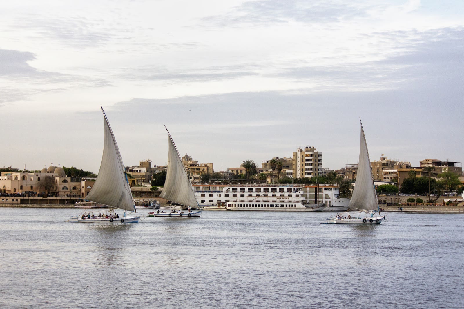 Felucca with a bright triangular sail moving across the Nile in Cairo