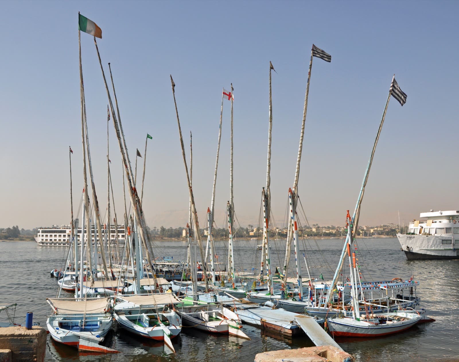 Several feluccas on the Nile near the Luxor waterfront with sails, hulls and shore visible