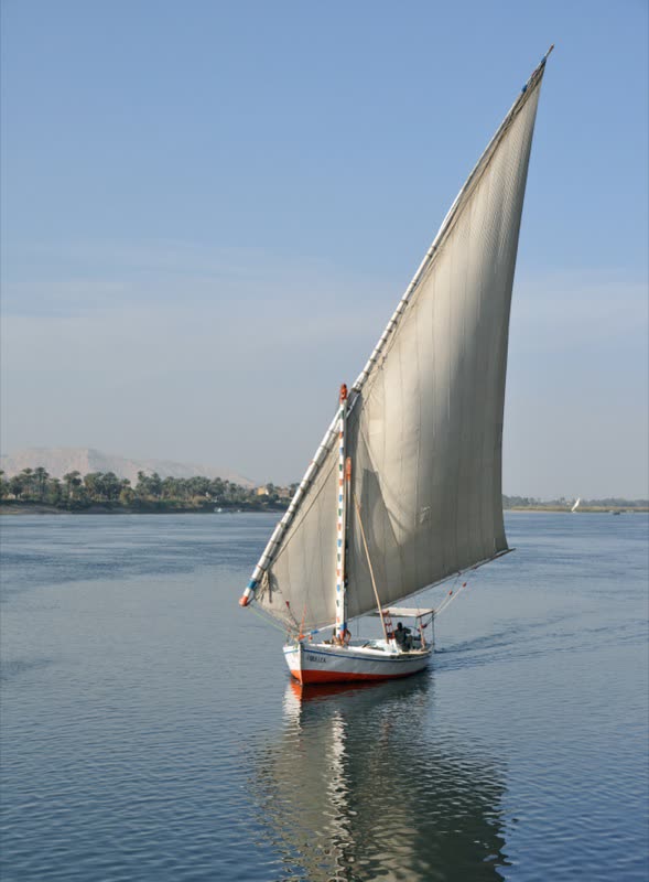 Lateen sail above a Luxor felucca